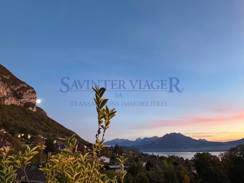 Villa sur les toits. Terrasse de 60m2. Vue lac 180. VIAGER. (11)