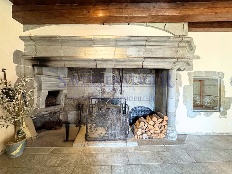 Cheminée d'exception / Außergewöhnlicher Kamin / Exceptional fireplace