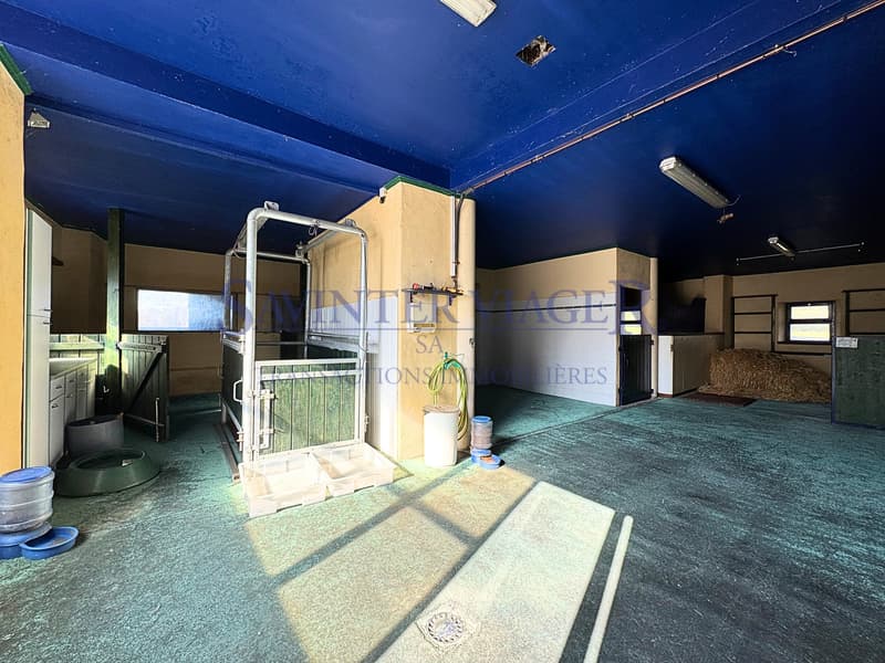 Bâtiment pour les soins vétérinaires / Gebäude für tierärztliche Versorgung / Veterinary care building