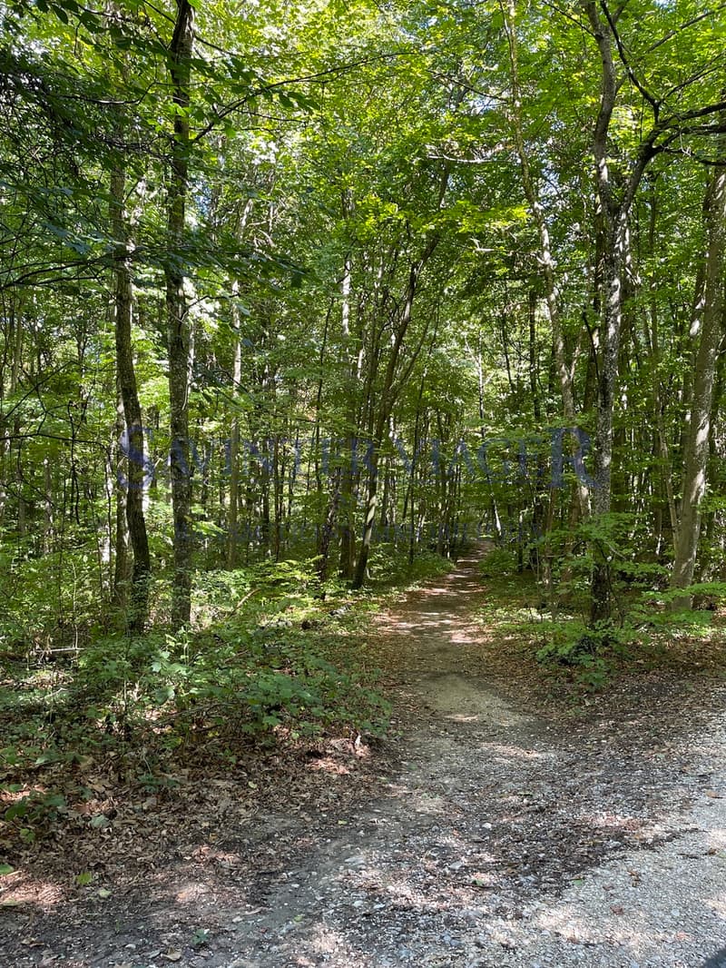 Domaine Impérial de Gland - bel appartement - Viager occupé (11)