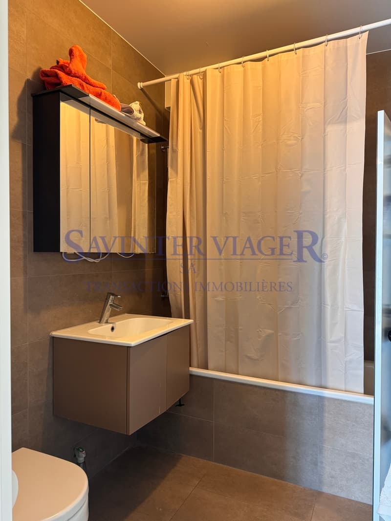 Carouge - Élégant 3 pièces avec vaste balcon et vue dégagée (9)