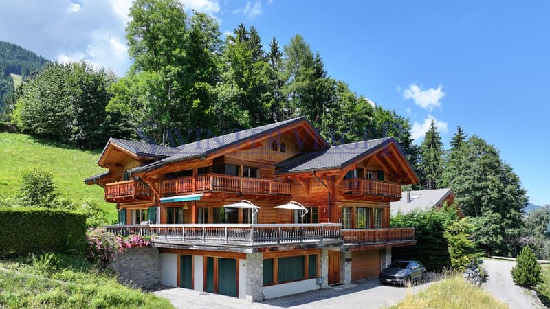 Champéry, Chalet d'Exception de 450 m2 habitables - Viager occupé (2)