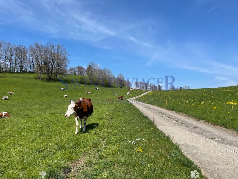 Proche de la nature
