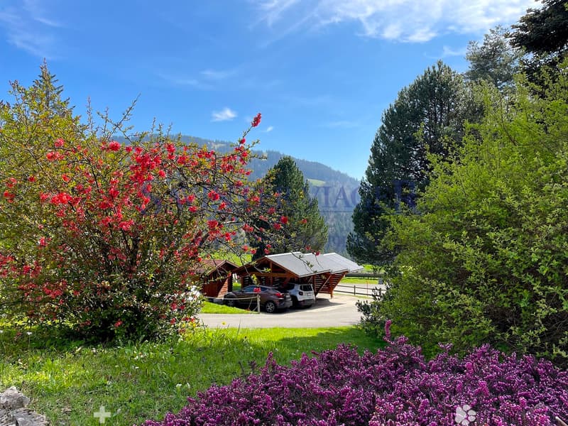VIAGER. Châtel-St-Denis, Appartement au calme, jardin PPE 2034m2 (5)