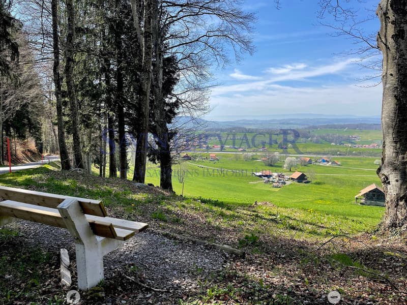 VIAGER. Châtel-St-Denis, Appartement au calme, jardin PPE 2034m2 (4)