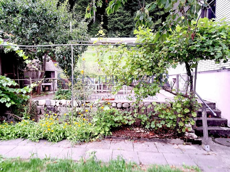 La maison "Les mésanges" en viager occupé (11)