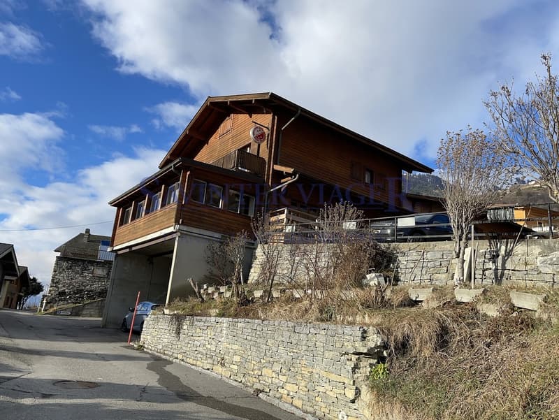 Chalet dominant la vallée en viager (5)