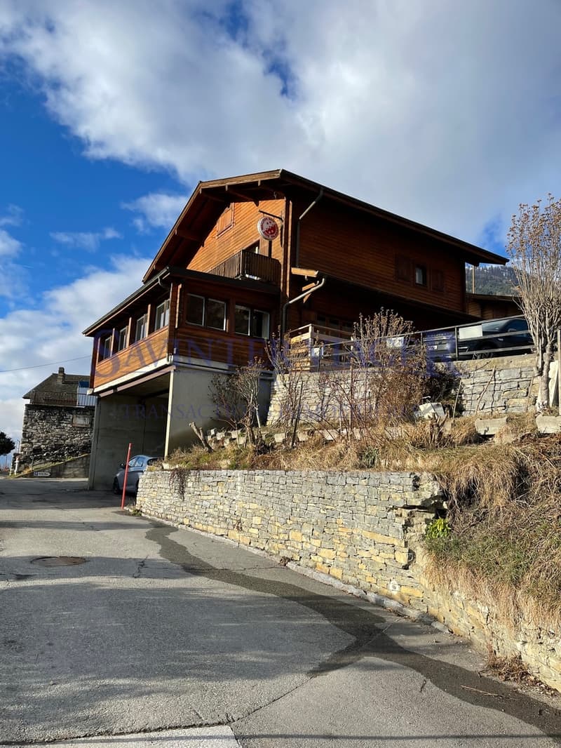 Chalet dominant la vallée en viager (4)