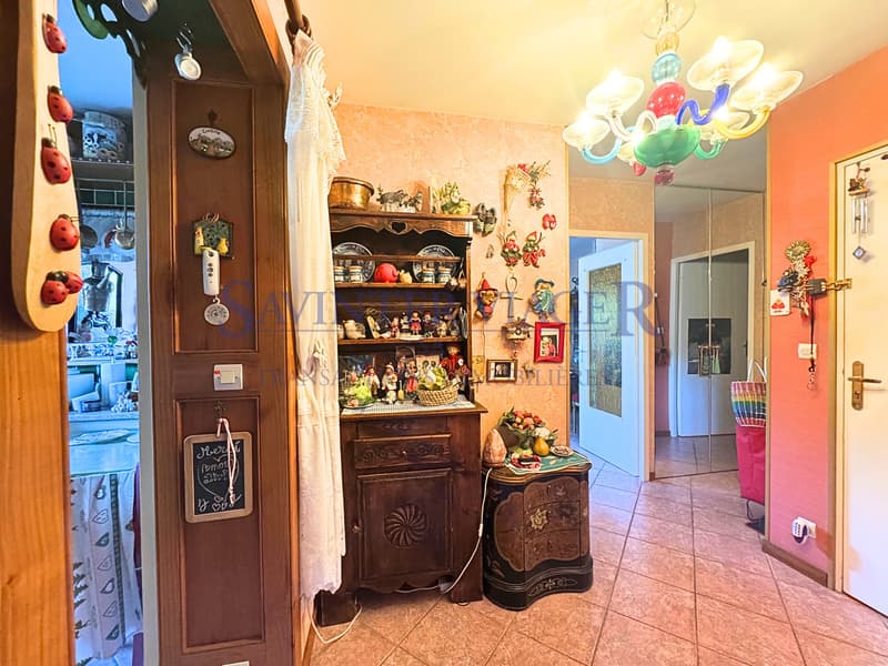 VIAGER. ANNECY. Vue panoramique. 2 Garages inclus. Terrasse 27m2 (11)