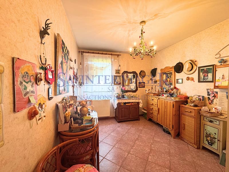 VIAGER. ANNECY. Vue panoramique. 2 Garages inclus. Terrasse 27m2 (8)