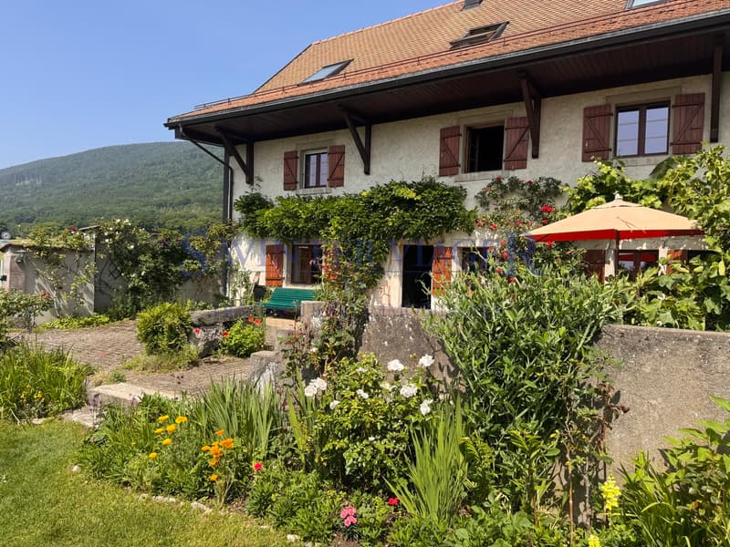 Mollens, Maison de charme - Viager occupé (5)