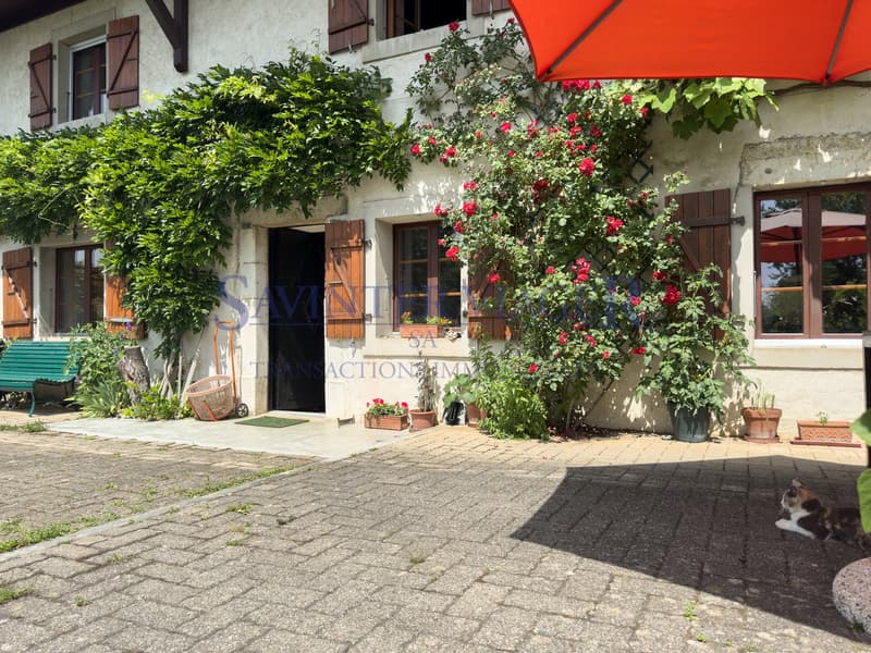Mollens, Maison de charme - Viager occupé (7)