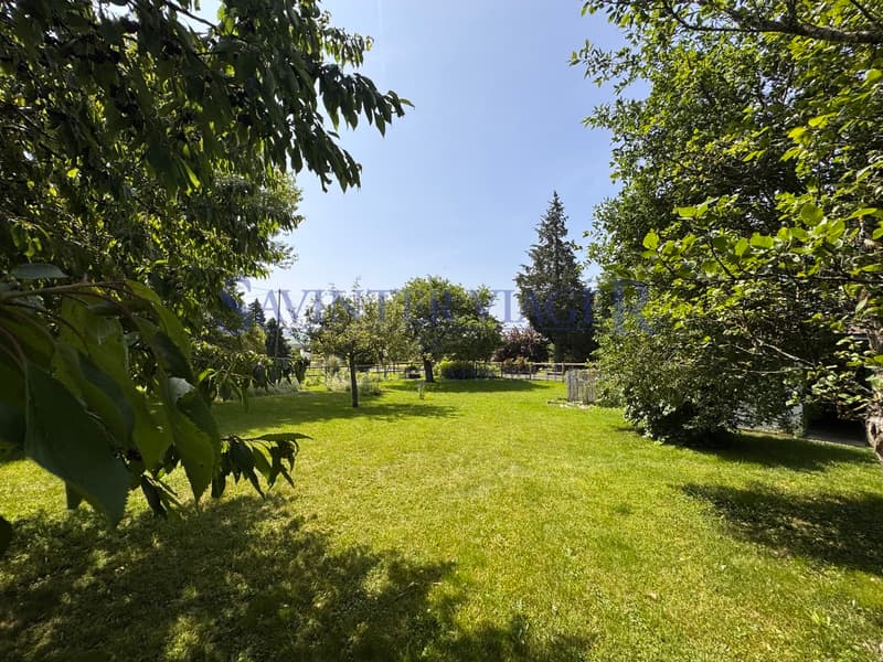 Mollens, Maison de charme - Viager occupé (13)