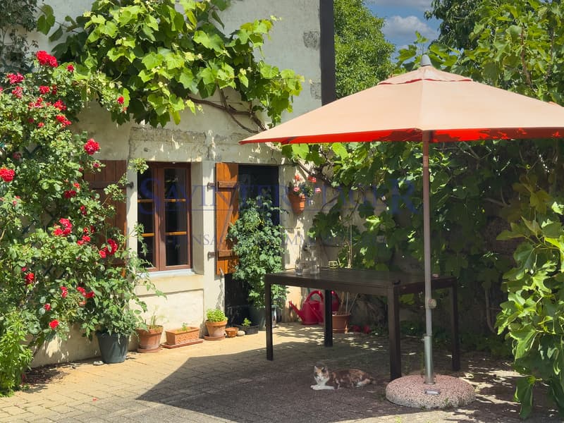 Mollens, Maison de charme - Viager occupé (6)
