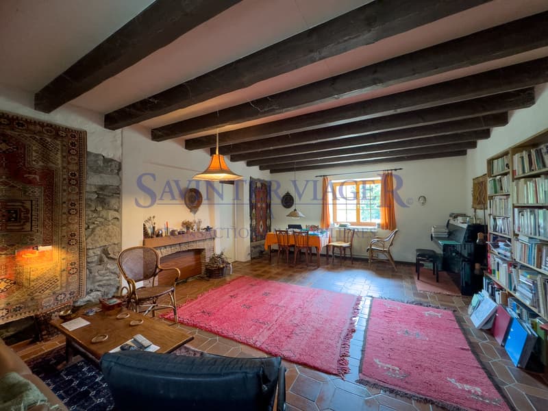 Salon avec une cheminée / Wohnzimmer mit Kamin / Living room with fireplace / ???????? ? ???????
