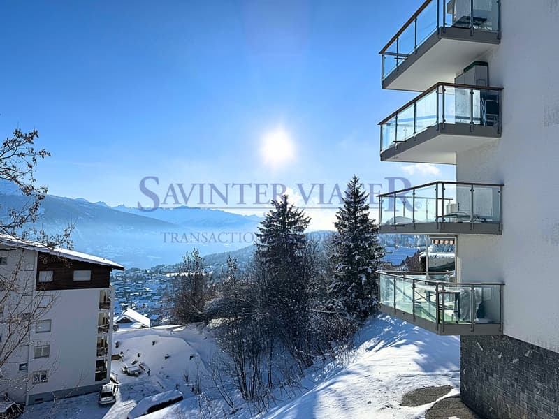 Appartement 91 m², terrasse 20 m2. Proche centre - Vue Alpes (9)