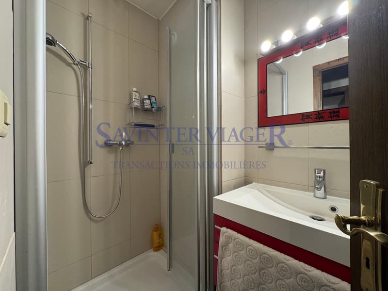 Appartement 91 m², terrasse 20 m2. Proche centre - Vue Alpes (12)