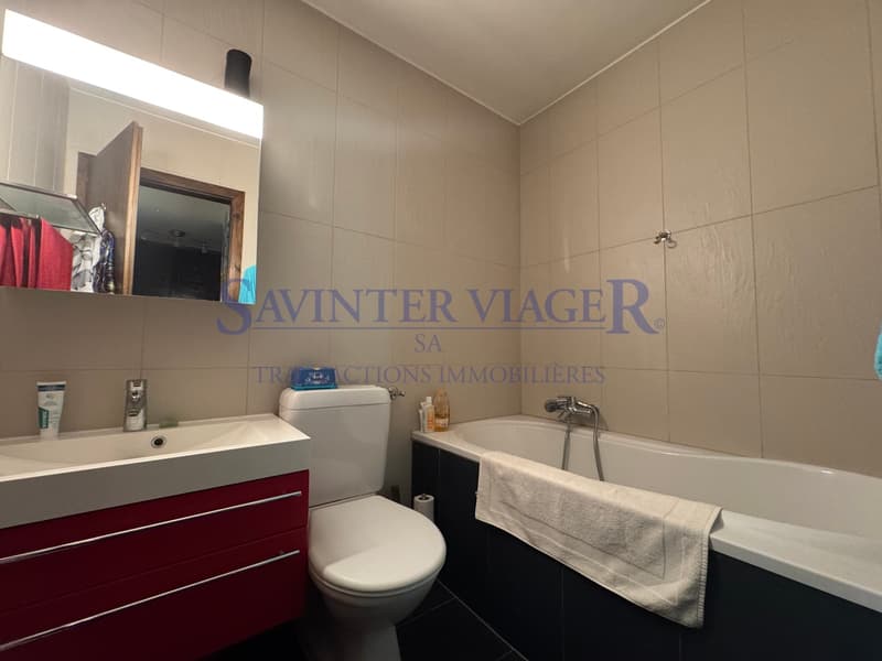 Appartement 91 m², terrasse 20 m2. Proche centre - Vue Alpes (13)