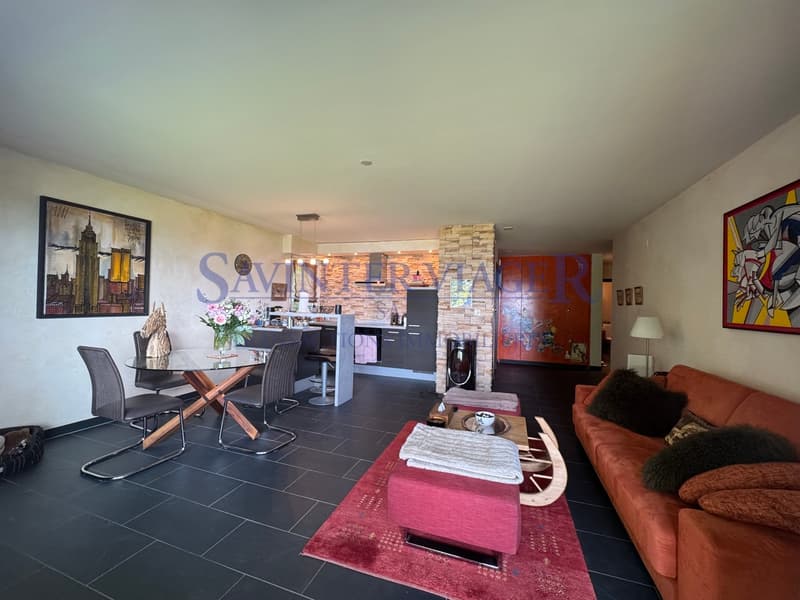 Appartement 91 m², terrasse 20 m2. Proche centre - Vue Alpes (11)