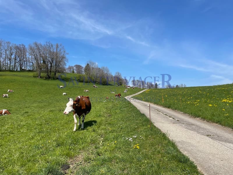 Proche de la nature