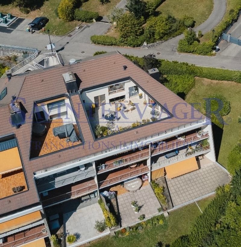 Villa sur les toits. Terrasse de 60m2. Vue lac 180. VIAGER. (4)