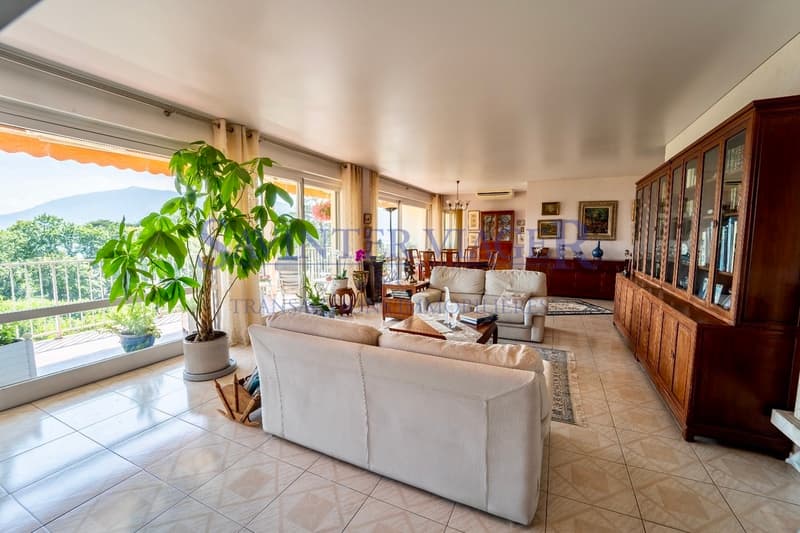 Villa sur les toits. Terrasse de 60m2. Vue lac 180. VIAGER. (2)