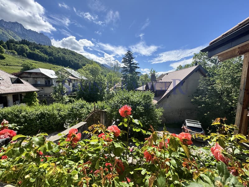 Viager occupé. Menthon-St-Bernard. Un bien rare avec potentiel (11)