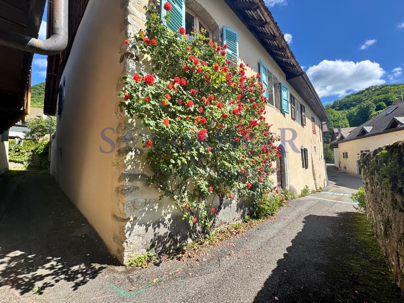 Viager occupé. Menthon-St-Bernard. Un bien rare avec potentiel (12)