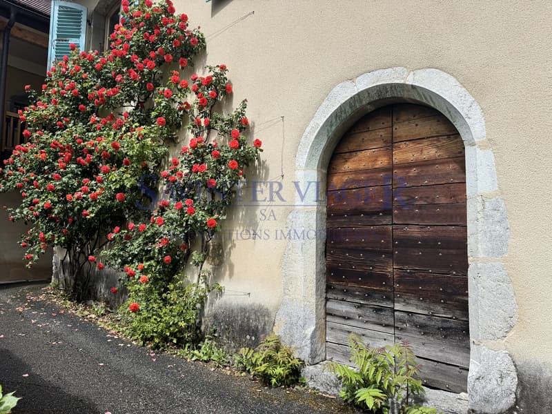 Viager occupé. Menthon-St-Bernard. Un bien rare avec potentiel (3)