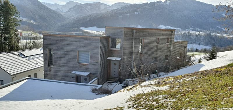 Superbe maison d'architecte à vendre à Châtel-St-Denis avec vue panoramique (11)