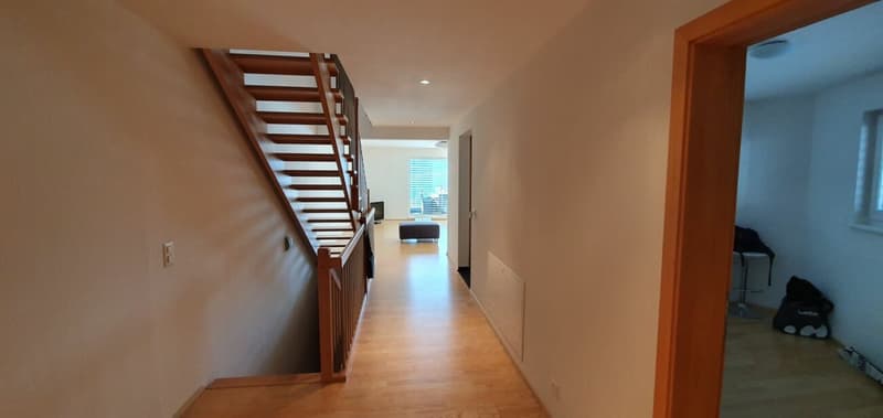 Superbe maison d'architecte à vendre à Châtel-St-Denis avec vue panoramique (4)
