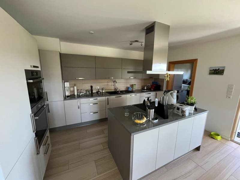 Magnifique appartement lumineux avec jardin à St-Aubin FR (3)