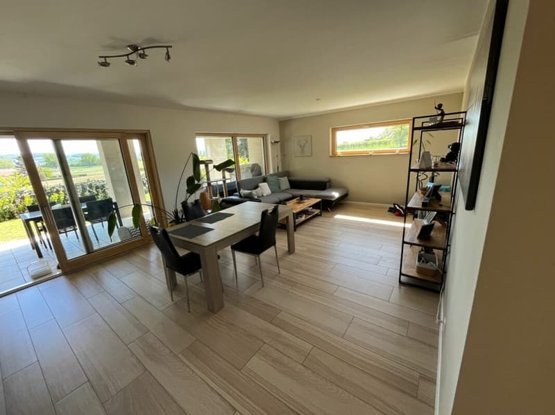 Magnifique appartement lumineux avec jardin à St-Aubin FR (2)