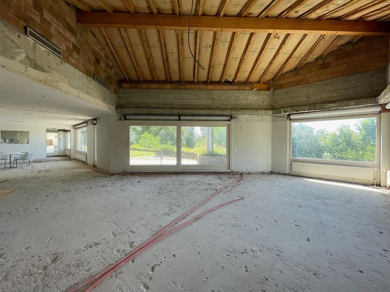 Plus de 500m2 habitables à l'abri des regards et disposant d'une belle (6)