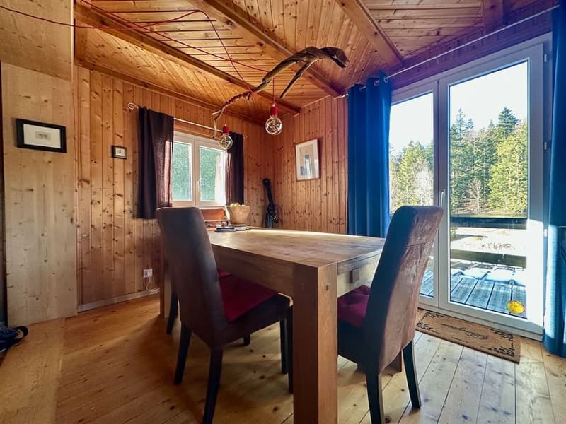 Charmant chalet au cour de la nature - Saint-Cergue (4)