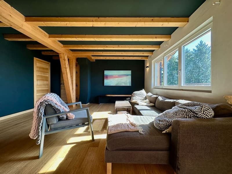 Maison individuelle rénovée avec vue sur le lac - 5 chambres, beaux vo (7)