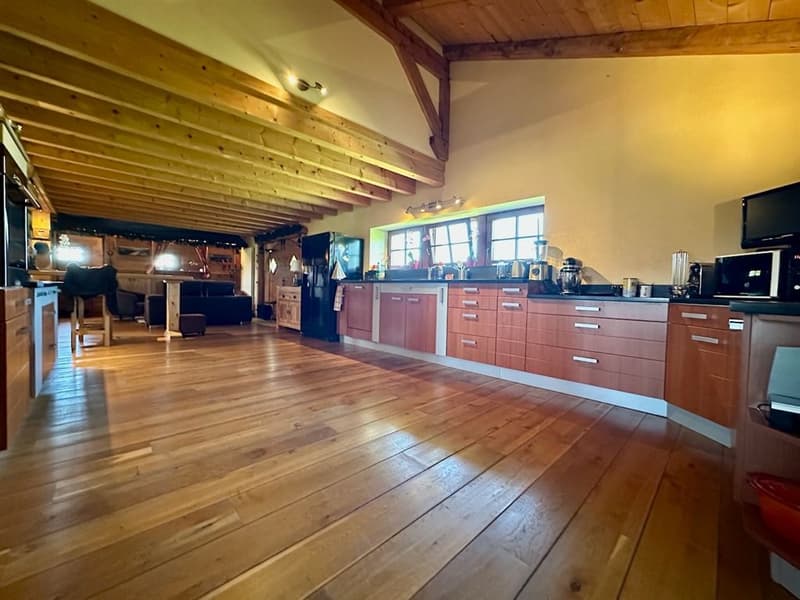 Très belle ferme du 18ème siècle rénovée avec vue dégagée (8)