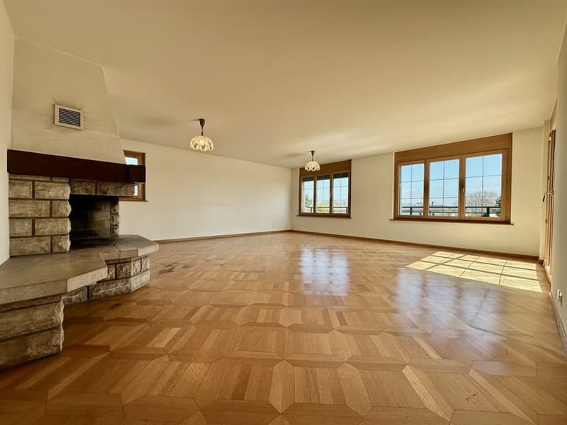 Spacieuse villa individuelle lumineuse avec appartement indépendant (8)