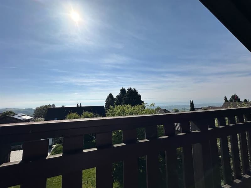 Maison individuelle à deux pas du centre du village et au calme absolu (7)