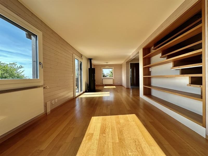 Maison individuelle à deux pas du centre du village et au calme absolu (5)