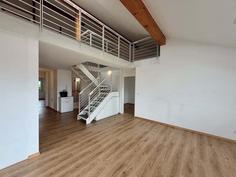 Grand duplex en attique de 5 chambres (5)