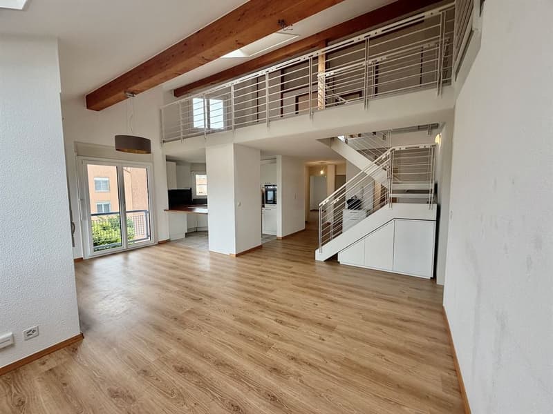 Grand duplex en attique de 5 chambres (3)