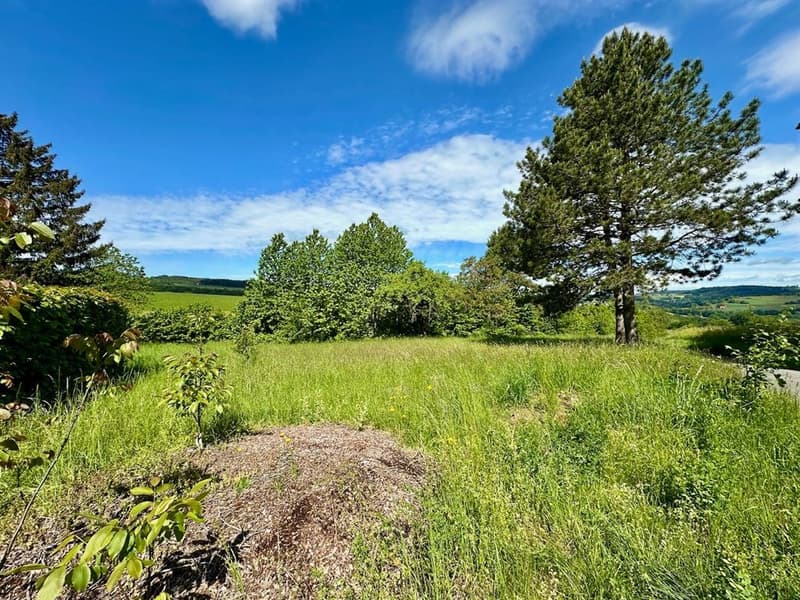 Ferme rénovée de caractère avec 2'900 m² de terrain - à 15 min de l'au (10)