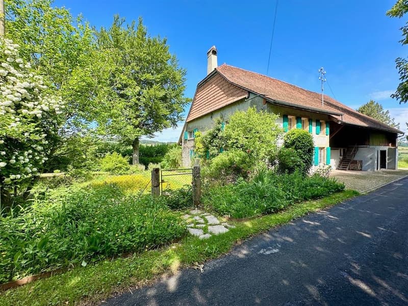 Ferme rénovée de caractère avec 2'900 m² de terrain - à 15 min de l'au (9)