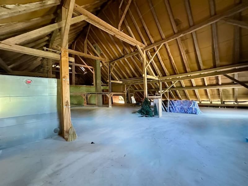 Ferme rénovée de caractère avec 2'900 m² de terrain - à 15 min de l'au (8)