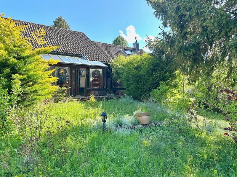Charmant chalet cosy avec terrasse plein sud, garage et cachet authent (2)