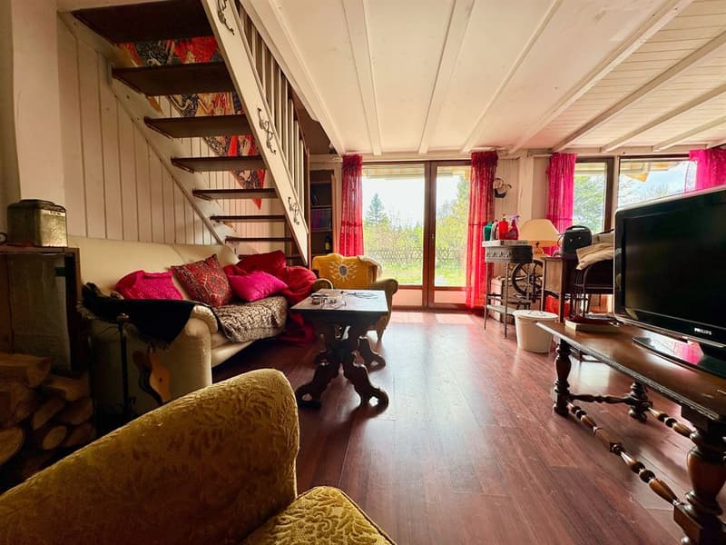 Charmant chalet cosy avec terrasse plein sud, garage et cachet authent (3)