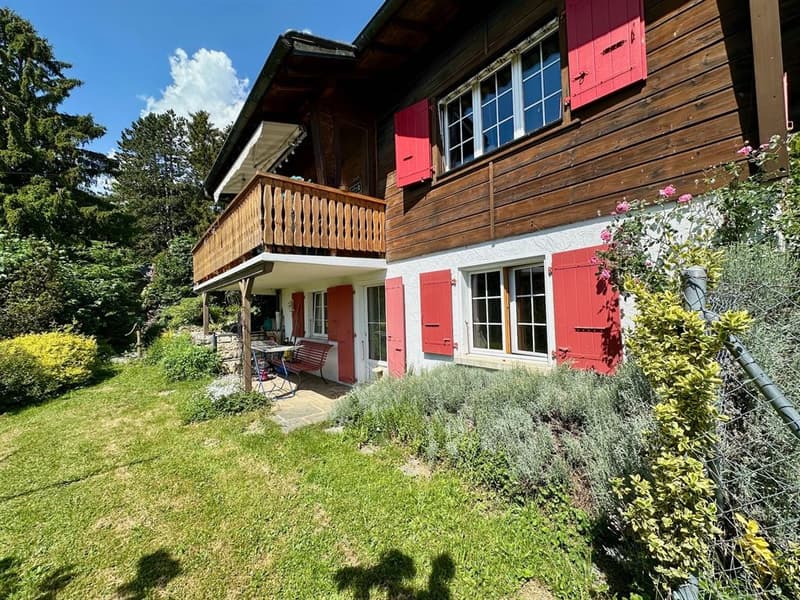 Charmant avec panorama alpin, calme absolu et cadre naturel privilégié (9)