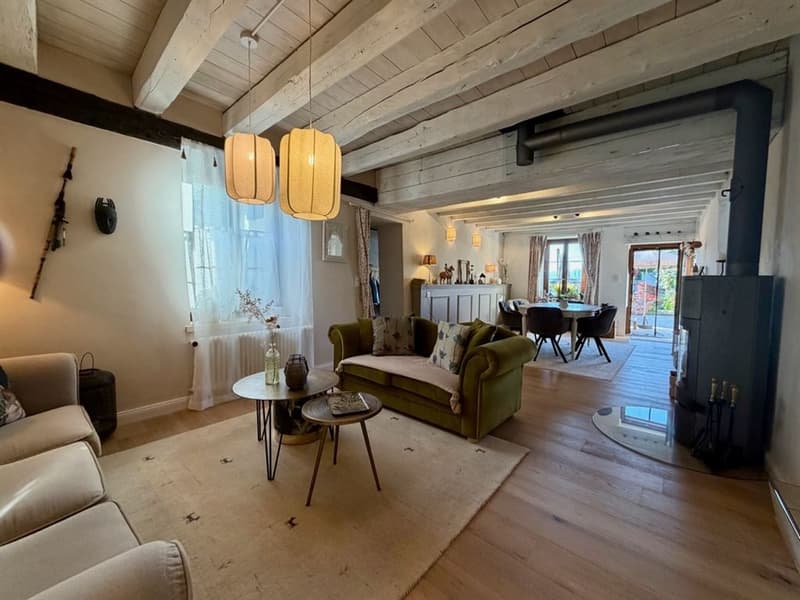 Charmante maison de village rénovée avec goût (4)