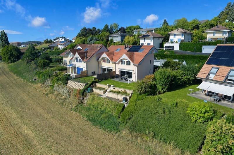 Superbe villa rénovée avec vue panoramique sur les Alpes (1)